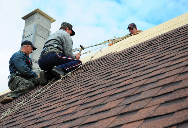 Best Metal Roofing Contractor  in Loves Park, IL